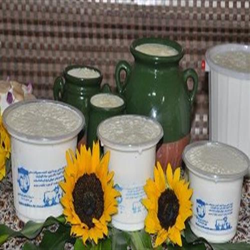 ماست پر چرب