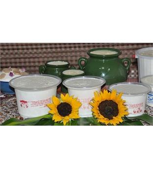 ماست کم چرب